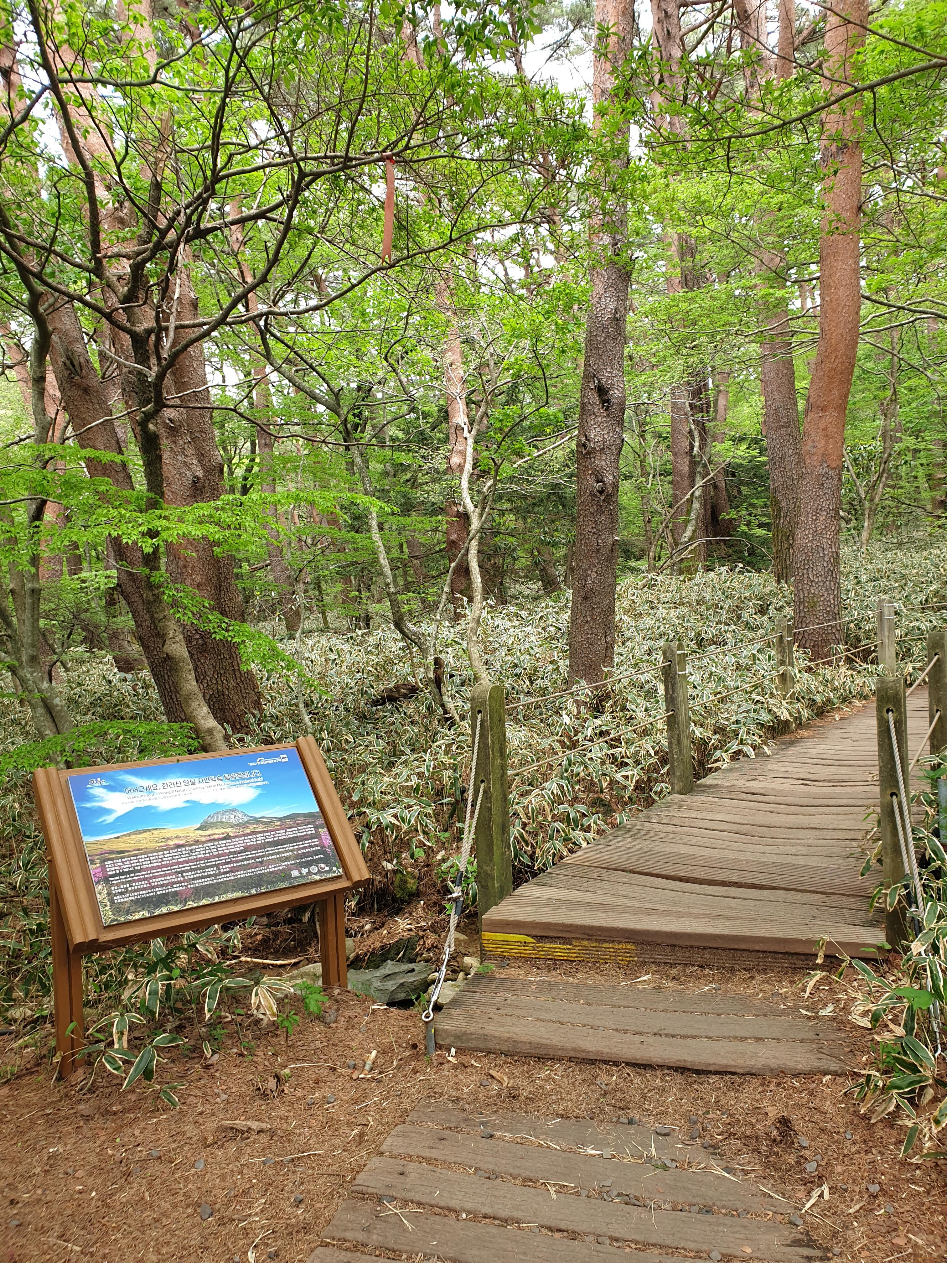 제주 한라산 등반 예약 방법