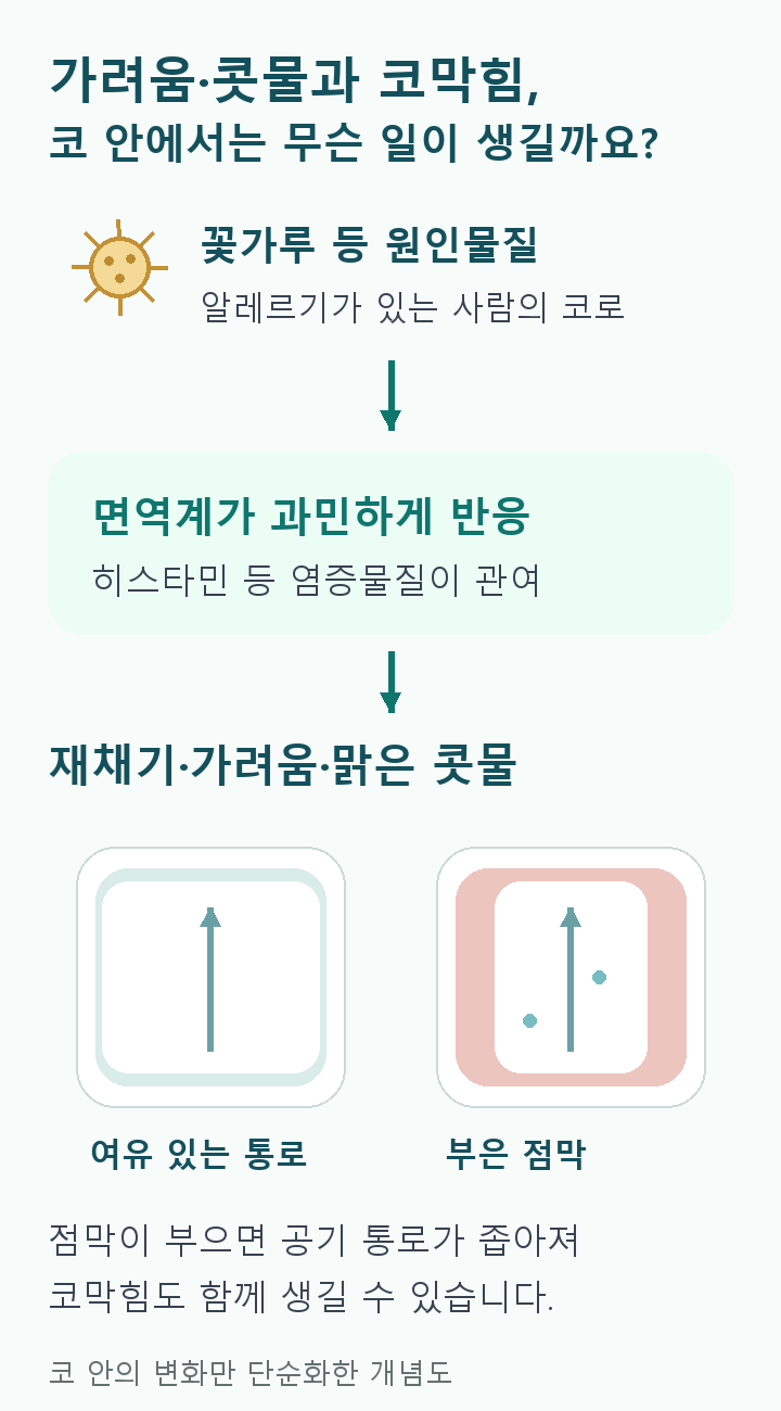 꽃가루 노출에서 알레르기 염증반응으로 이어지고 가려움&middot;콧물과 점막 부종에 따른 코막힘이 나타나는 개념도