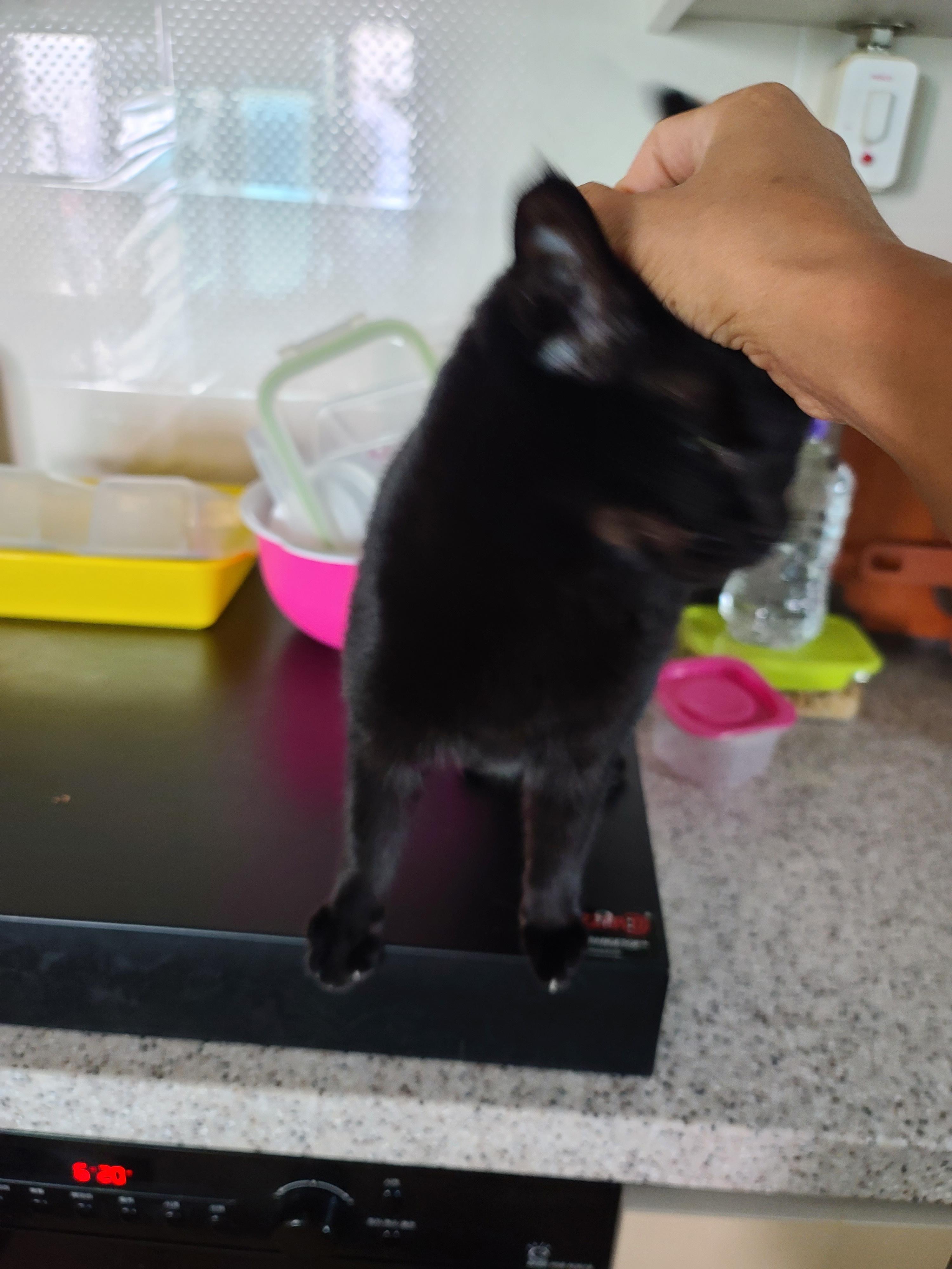 사랑스러운 스토커 건! (feat. 건이 콧구멍 ㅋㅋ)