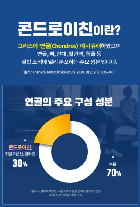 콘드로이친 개요