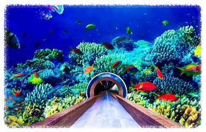 두바이 아쿠아리움 &amp; 언더워터 주