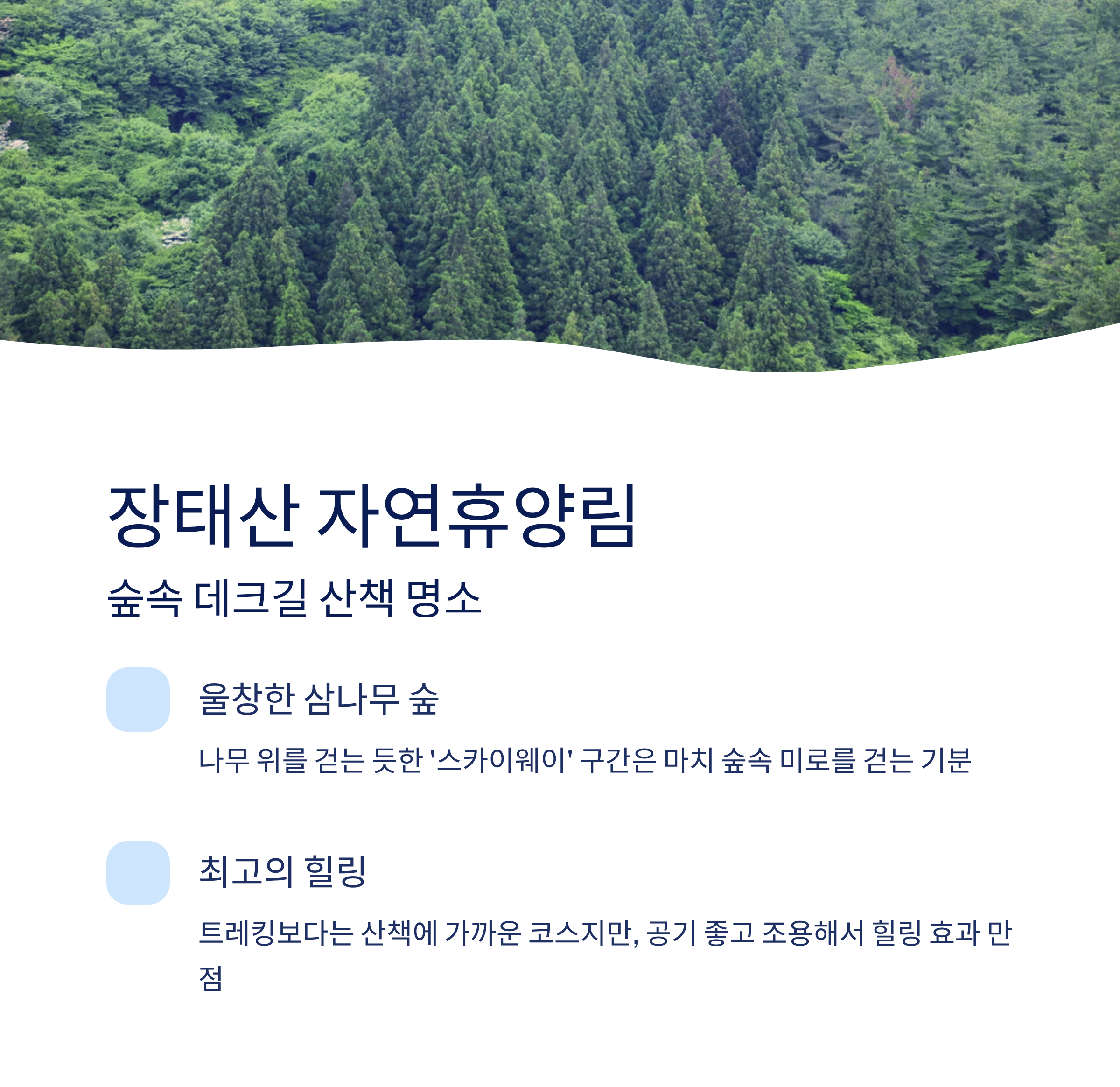 대전근교 힐링명소