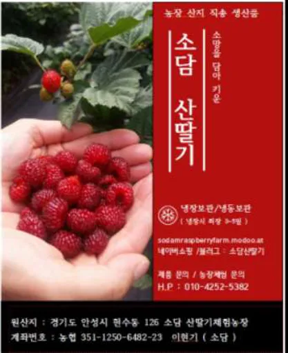 소담산딸기