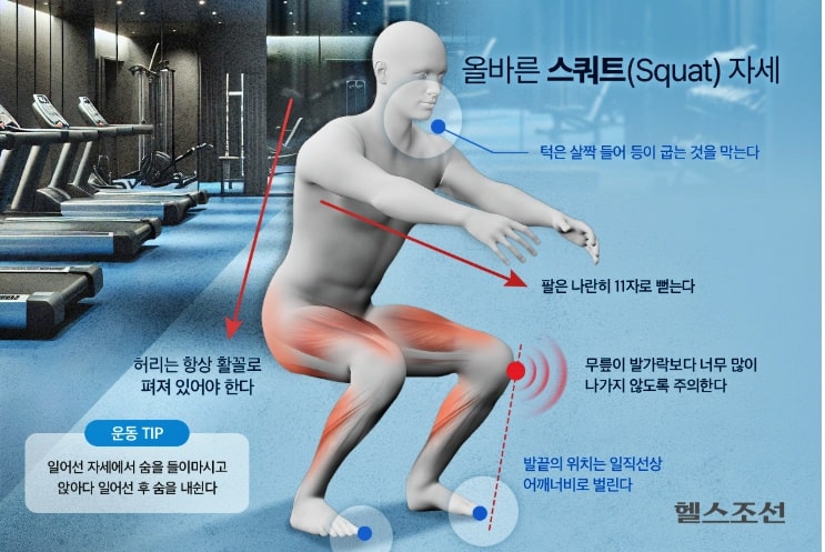 스트레칭과-운동-방법-스쿼트