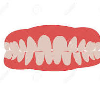 잇몸 염증 베스트