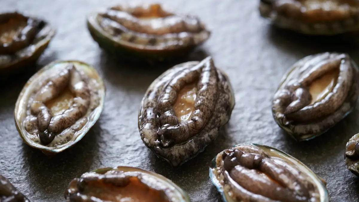 전복 요리 레시피