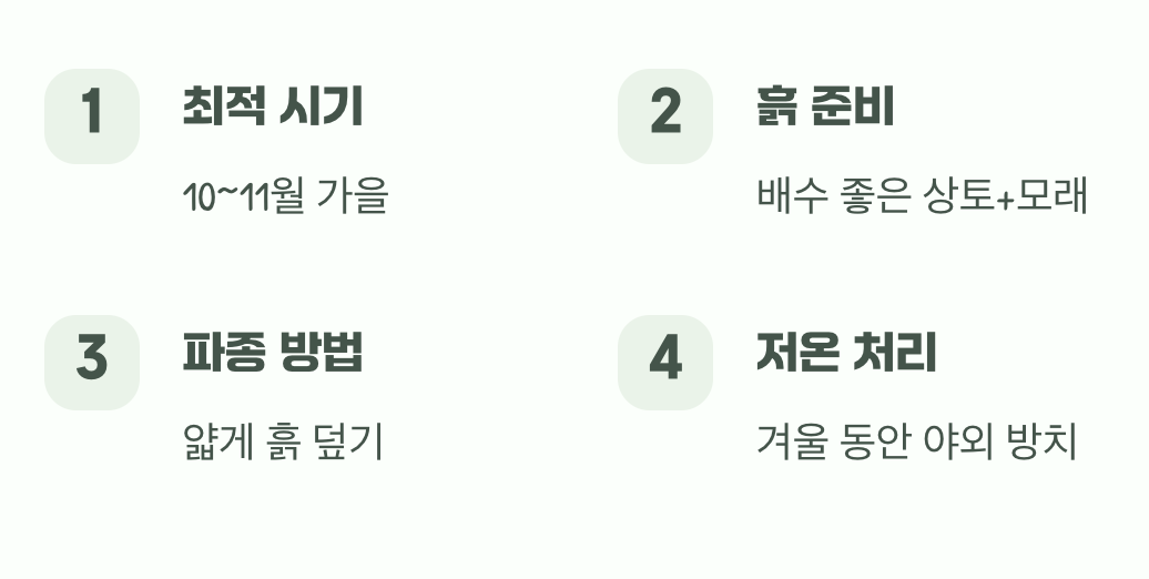 파종, 그리고 기나긴 겨울잠