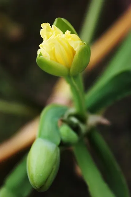 상속세율 계산 방법과 상속세율표로 알아보는 절세 팁_6