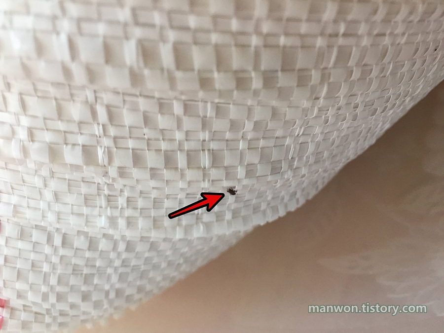 쌀가마니 틈새에서 쌀바구미가 튀어나온다