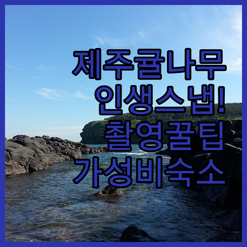 제주목 관아 귤나무 스냅 촬영 구도와..