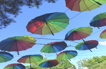 세미원 연꽃축제 연꽃문화제