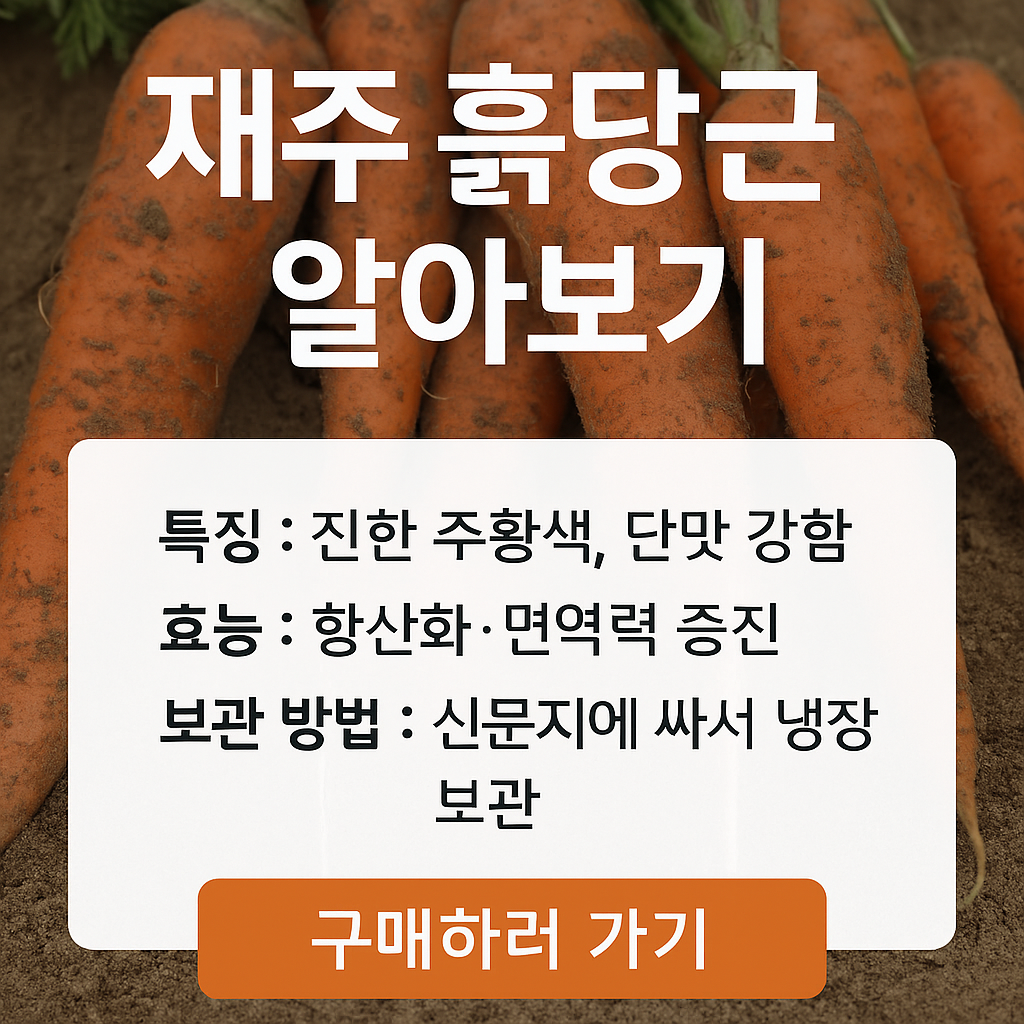 요즘뜨는 제주 흙당근에 관한 사진 자료