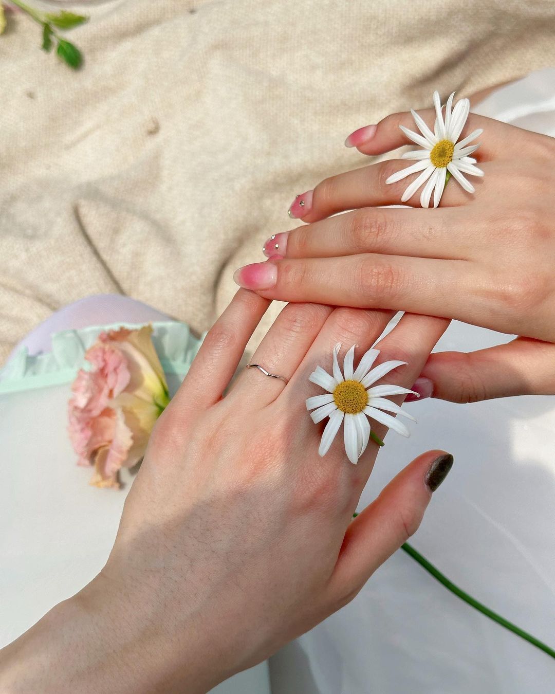 르세라핌 홍은채