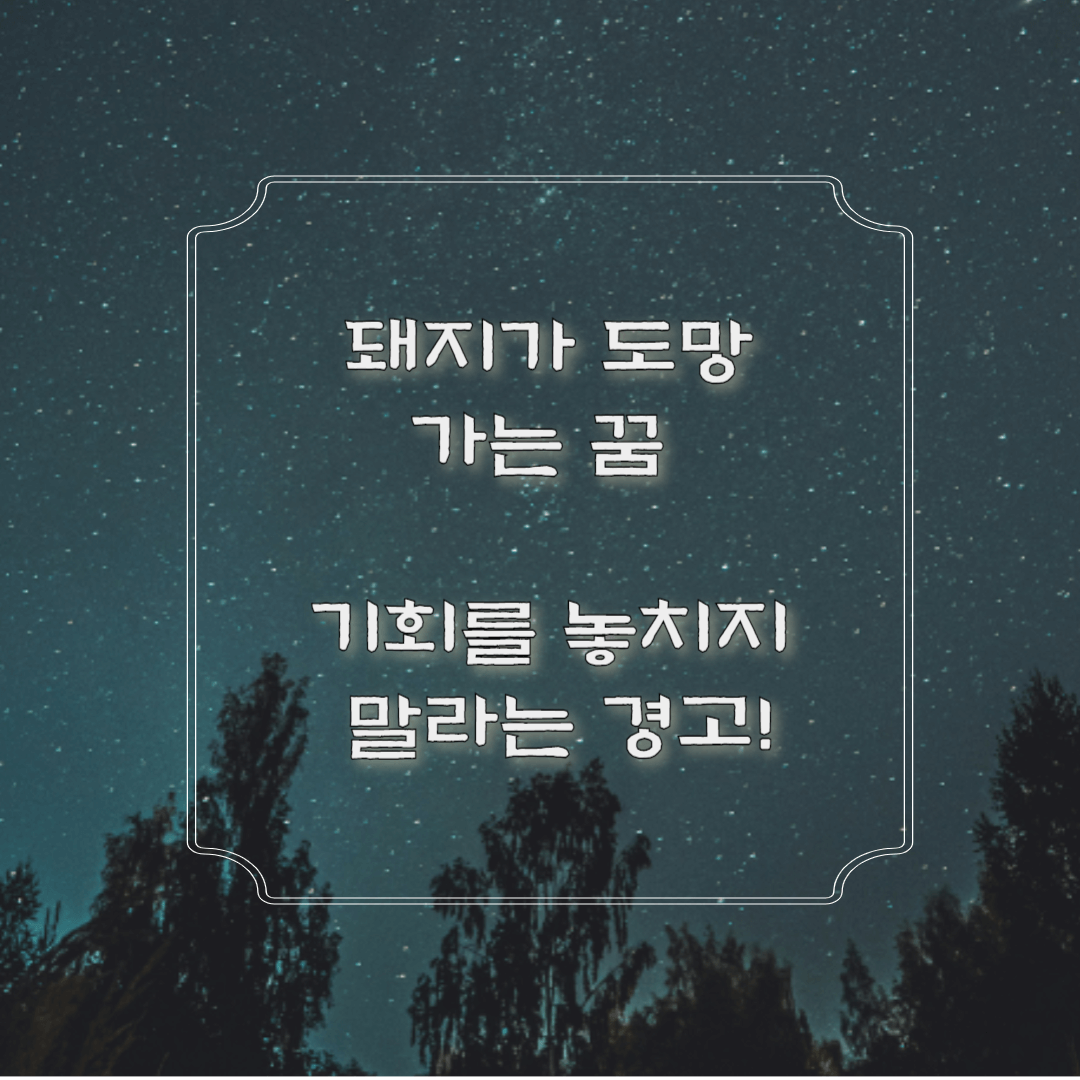 돼지가 도망가는 꿈