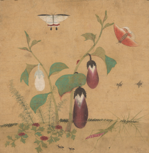 나만보기 너무 아까워서 가지고온 신사임당의 작품 나방이라는것이 믿기지 않는다.