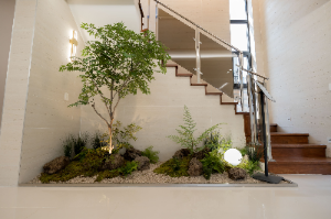 플랜테리어 디자이너, 자연과 감성을 담은 공간 전문가