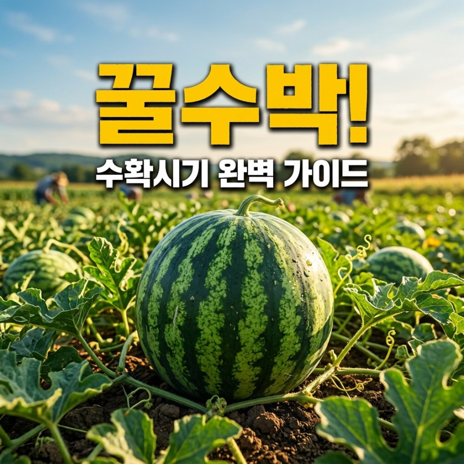 수박-고르는-방법