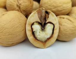 호두과자 창업에 대하여 알아보기