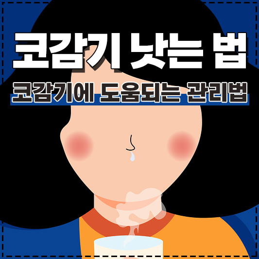 코감기 빨리 낫는법 코감기에 도움이 되는 좋은 관리 방법