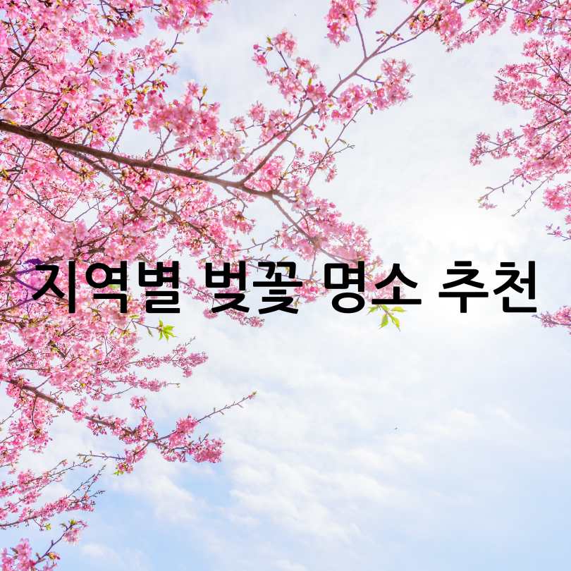 2025년 벚꽃 개화 시기 및 전국 명소