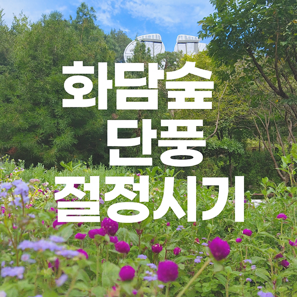 화담숲 단풍 절정시기