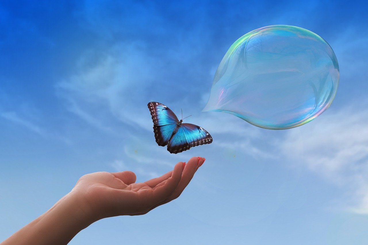 자기계발, 인생2막, 나비가 하늘을 나는그림