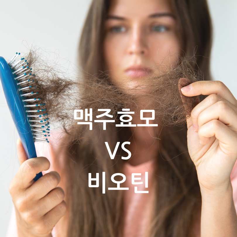 맥주효모와 비오틴&amp;#44; 탈모에 좋은 영양제