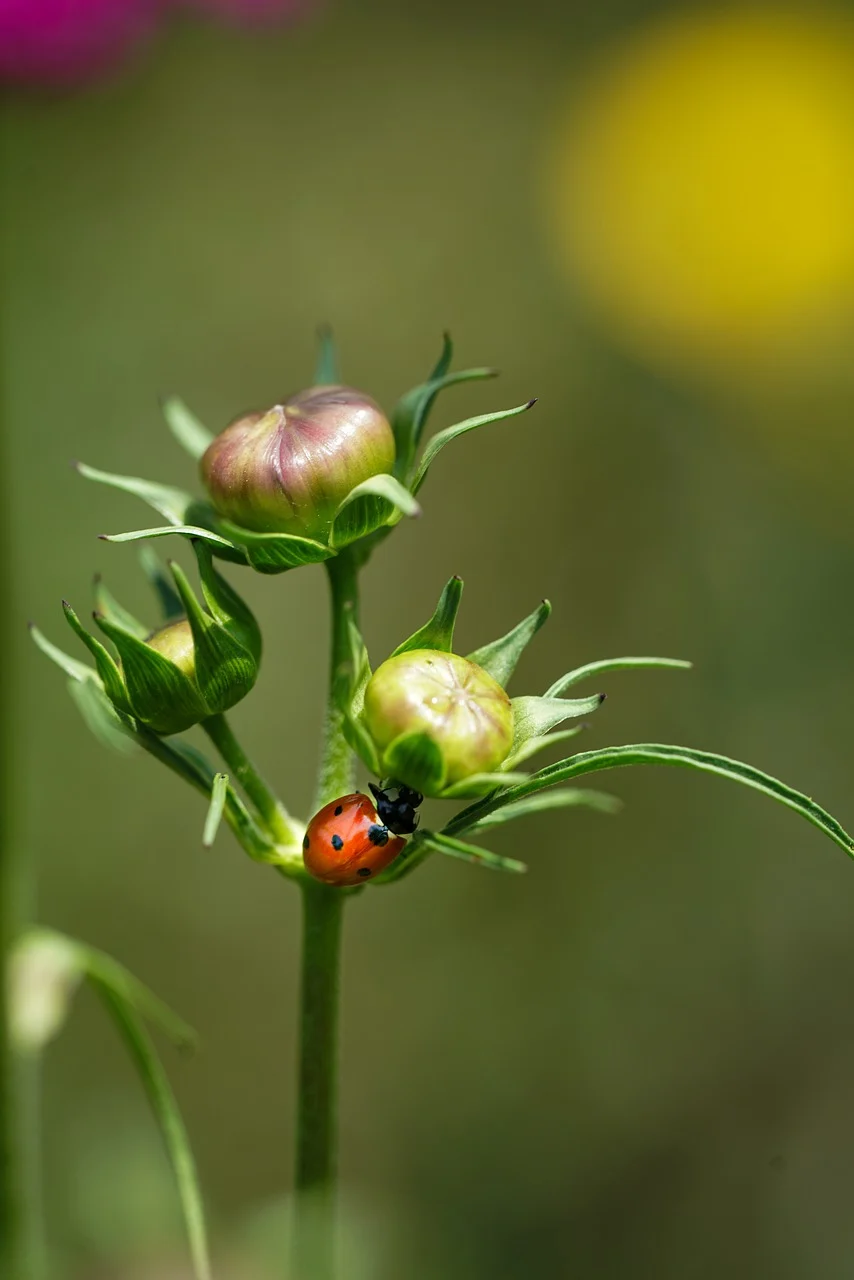 송파구 9시 이후 늦게까지 운영하는 맛집 Best4