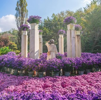 노인교통카드 신청방법