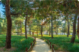 숙박세일페스타 쿠폰다운받기 사용기간은 언제까지?