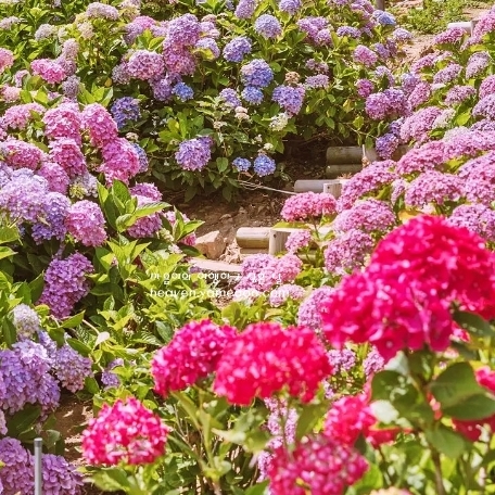 국내 섬여행지 추천