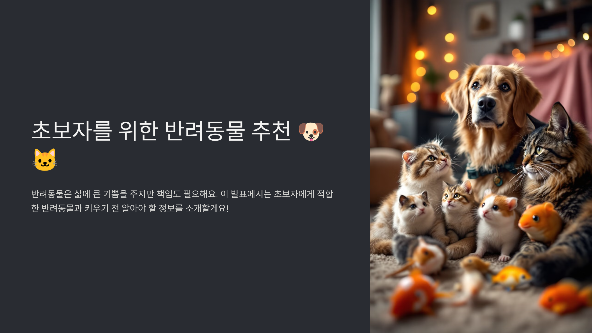 초보자를 위한 반려동물 추천