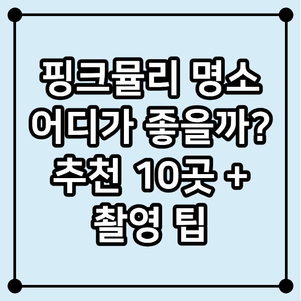 핑크뮬리 명소 어디가 좋을까? 추천 10곳 + 촬영 팁