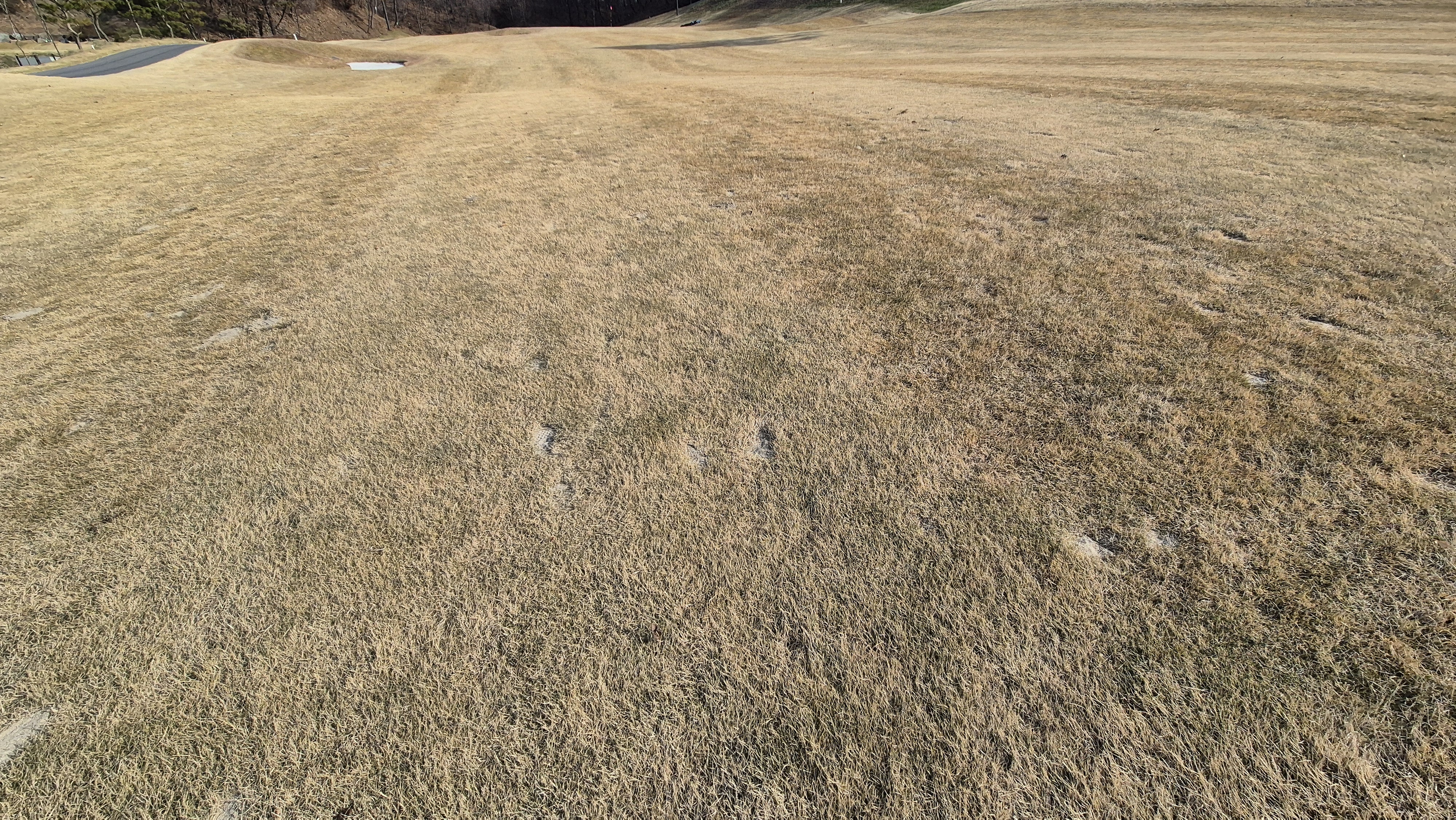 힐데스하임 레이크-힐 코스 코스 난이도