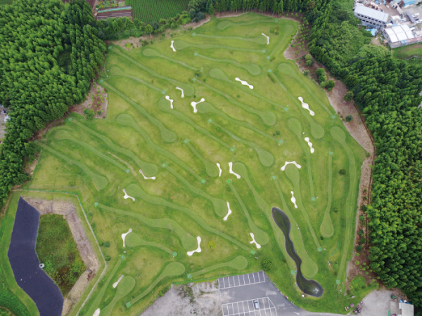 파크골프 처음 시작하는 방법|70대도 쉽게 배우는 입문 가이드