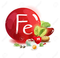 철분이 하는 일은 무엇일까.