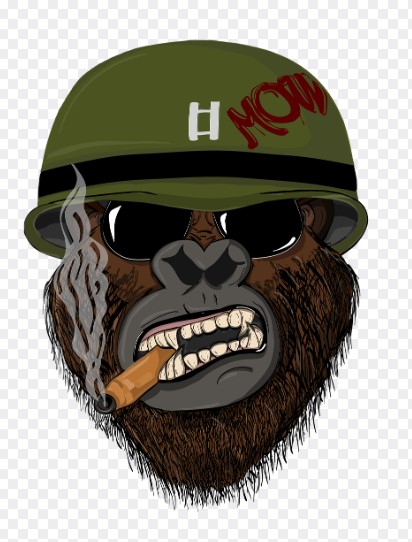 2026 병오년 원숭이띠 신년운세 무료로 보는 법