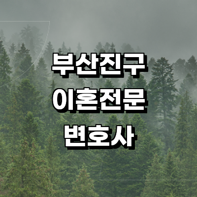 부산 부산진구 이혼 변호사