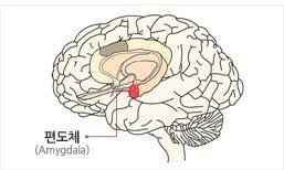공황장애 원인