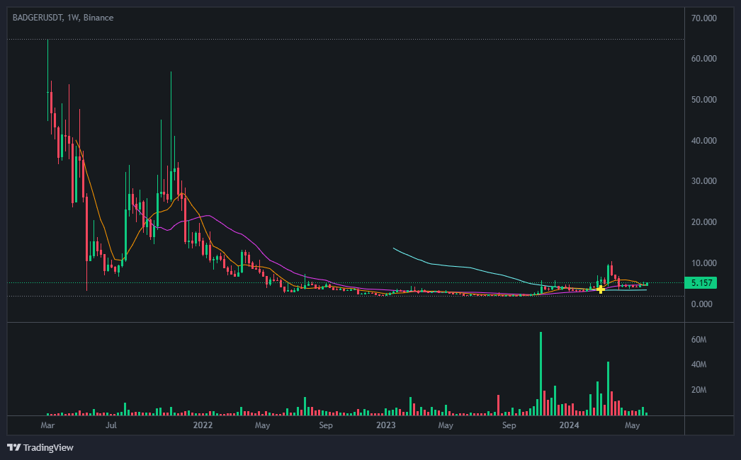 뱃저다오 코인 가격 현황