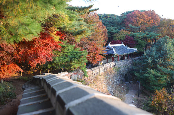 남한산성 단풍