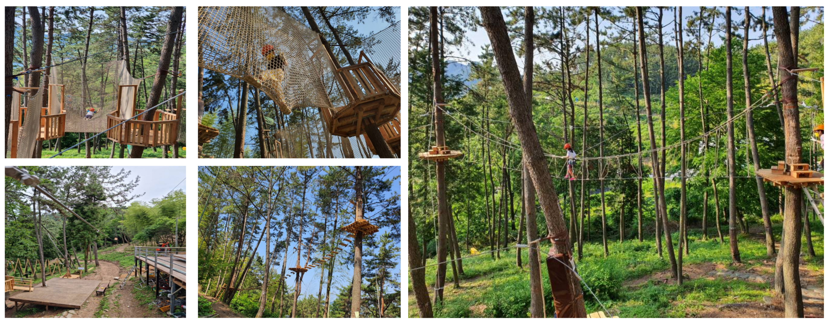 거제시 맹종죽 테마파크)