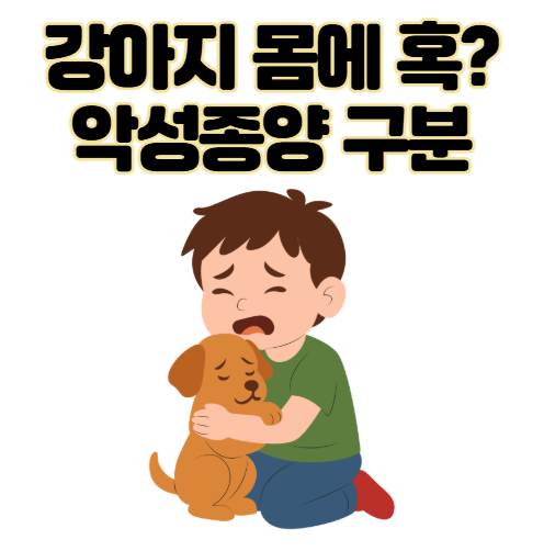 강아지 몸에 혹? 악성종양 구분 세포검사 후기