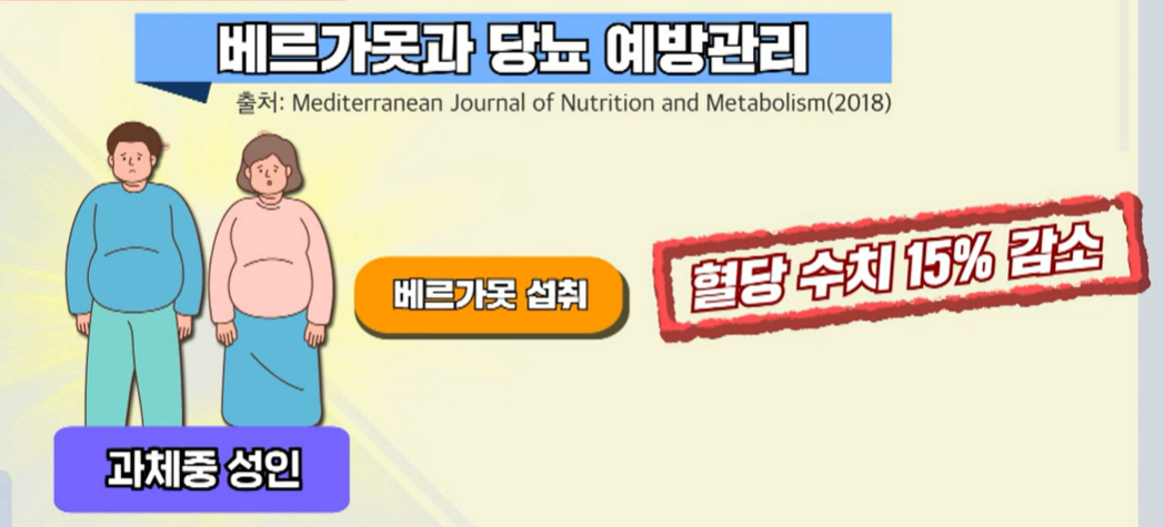 베르가못 효능