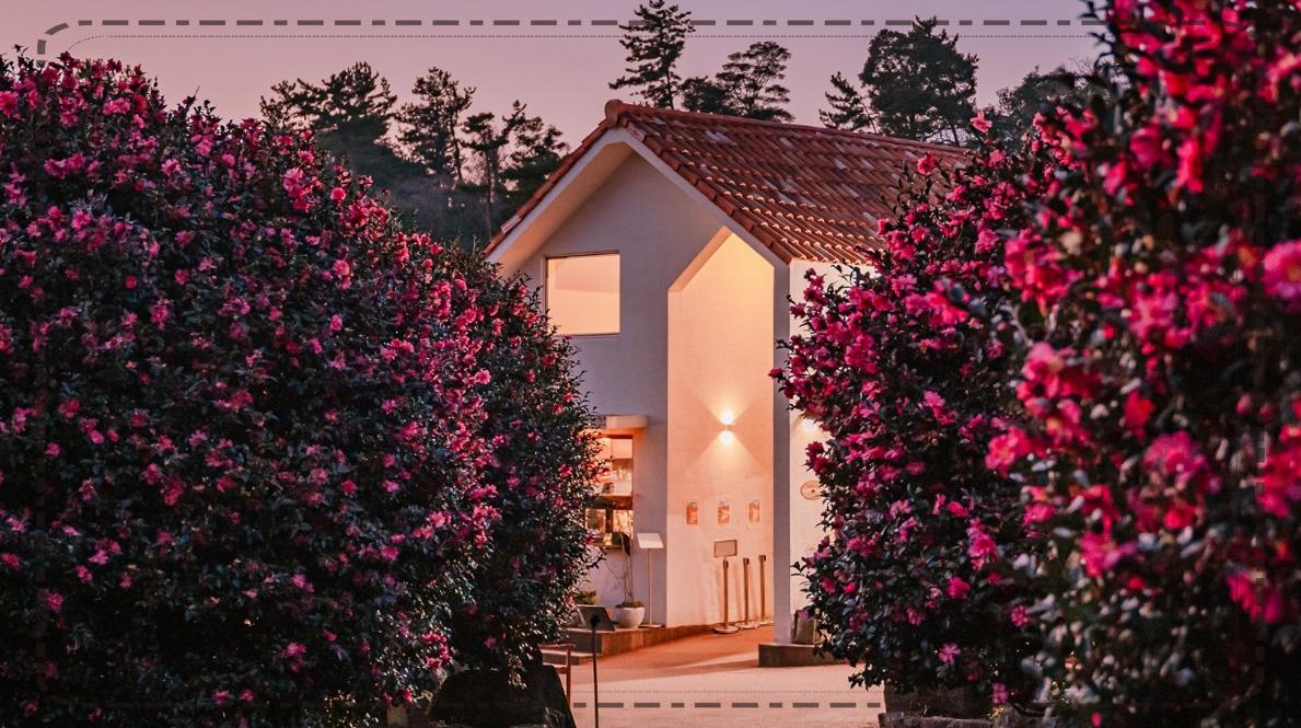 제주 겨울 동백꽃 명소 TOP 5 &amp; 여행 팁 (2026 겨울&middot;초봄)