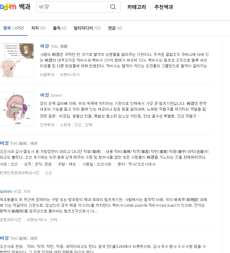 비장의 내부 구조를 보여주는 상세 이미지