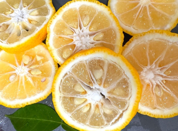유자들을 썰어놓은 단면