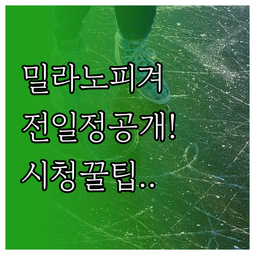밀라노 코르티나 동계올림픽 피겨스케이..