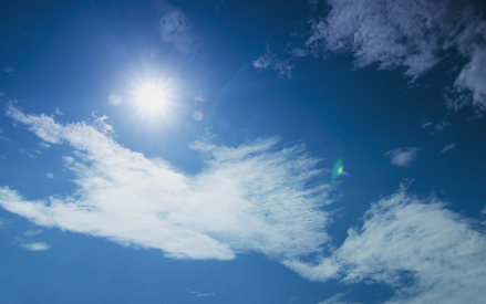 비타민d 부족증상 하루 권장량 