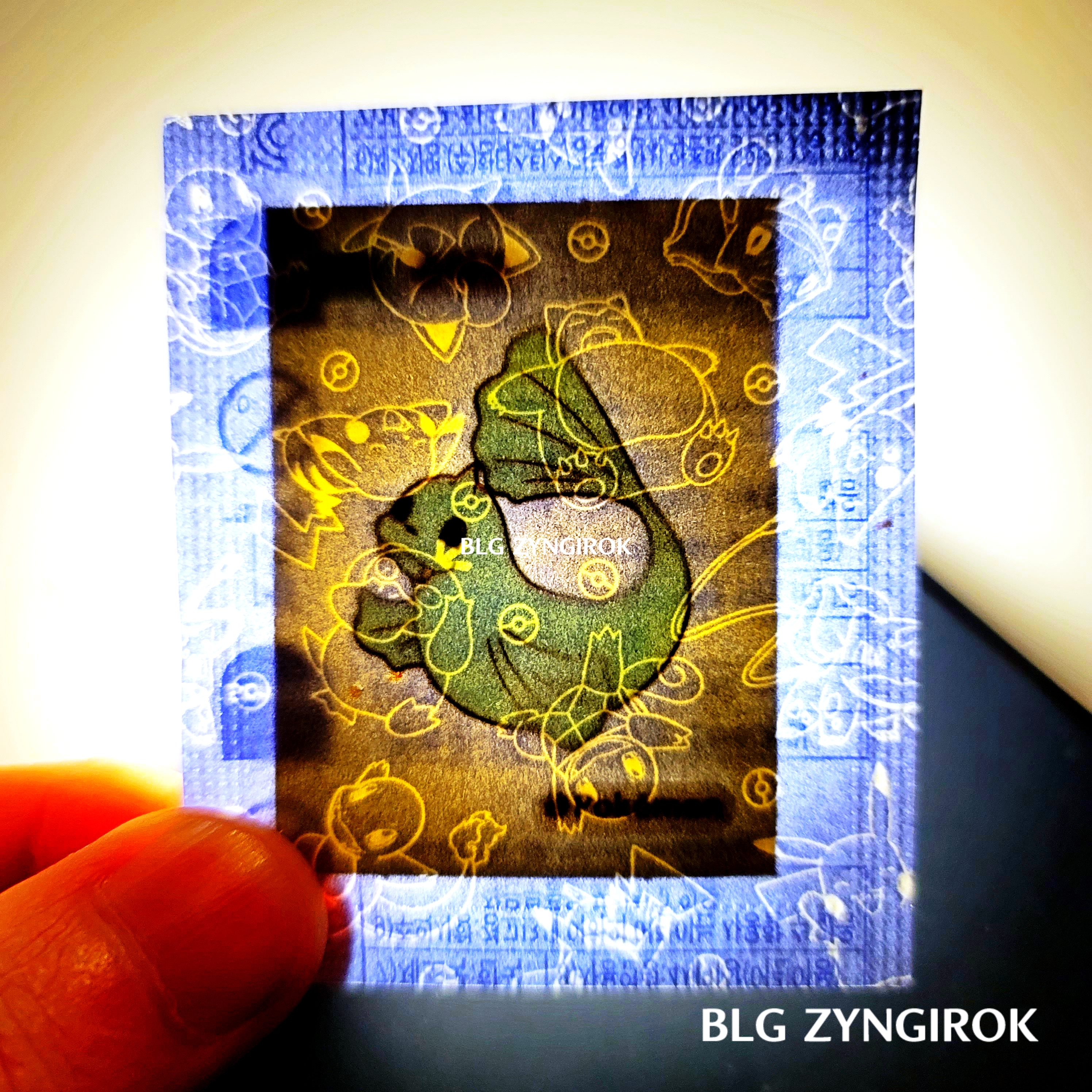 띠부띠부씰-쥬레곤을-들고있다.